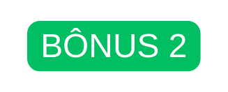 BÔNUS 2